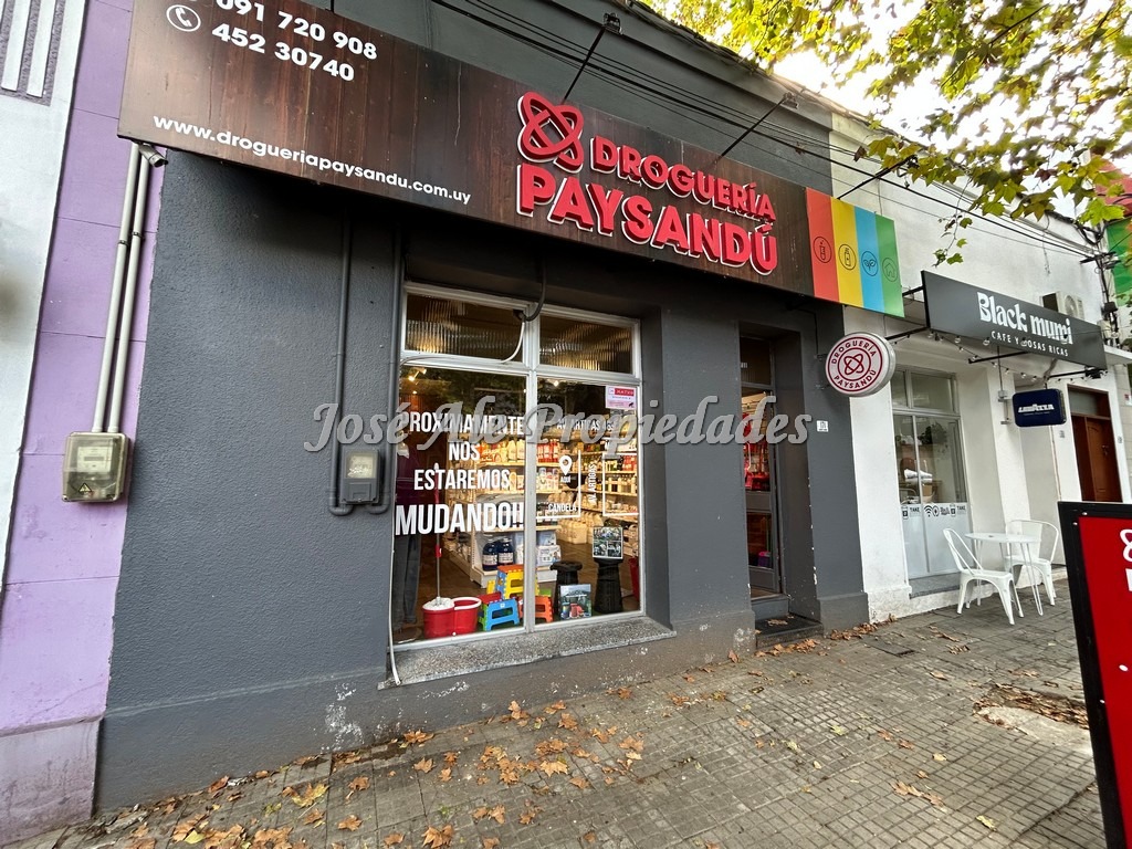 Imagen 10 de Local Comercial en estratégico punto, se encuentra a metros de la Av. Principal Gral Flores, en Colonia del Sacramento.