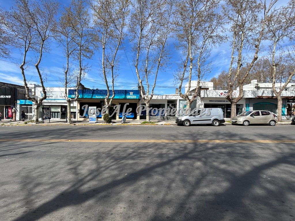 Imagen 9 de Excelente local comercial ubicado sobre la avenida principal General Flores, en el centro de la ciudad de Colonia del Sacramento.