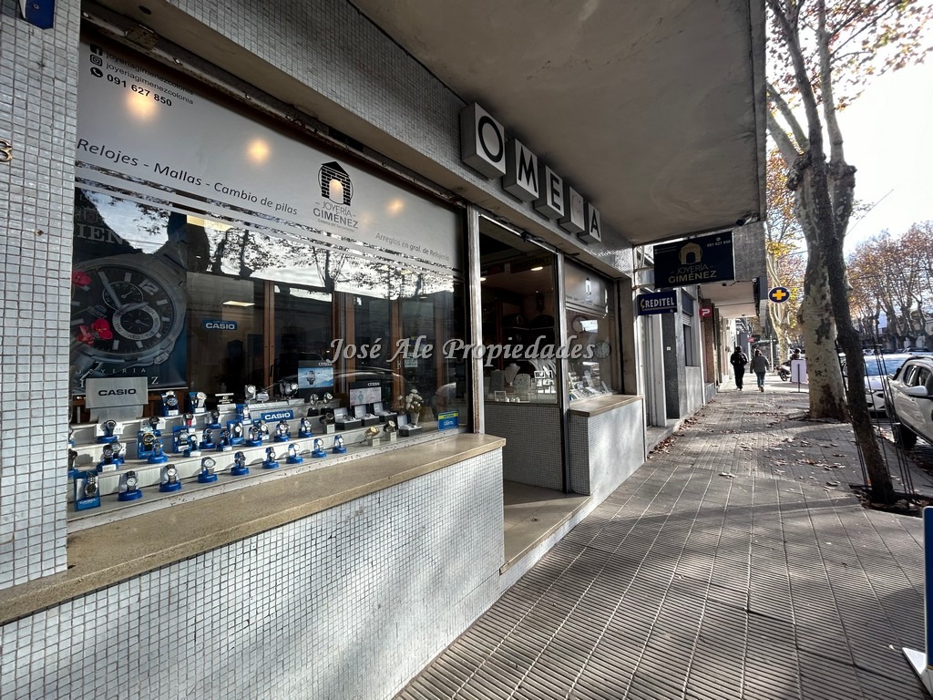 Imagen 3 de PROPONGA. A ingresado a nuestra cartera de ventas, la extraordinaria y destacada mercadería de Importante negocio con muchos años de trayectoria.