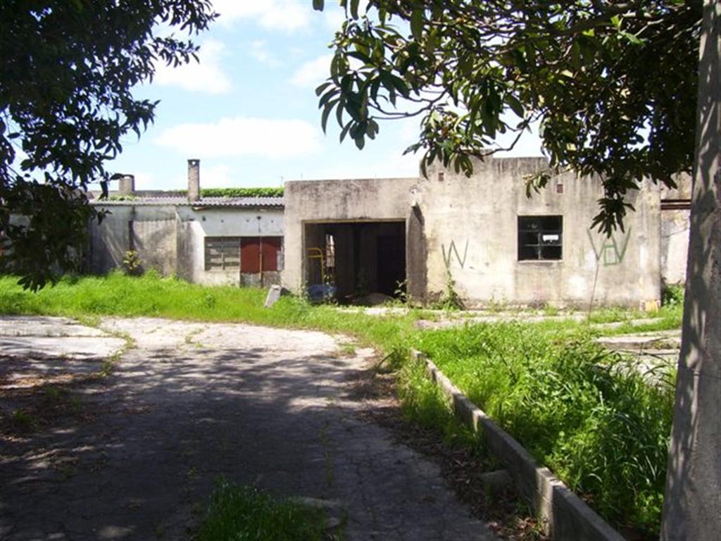 Imagen 3 de Casa con local comercial sobre avenida principal y amplio terreno.