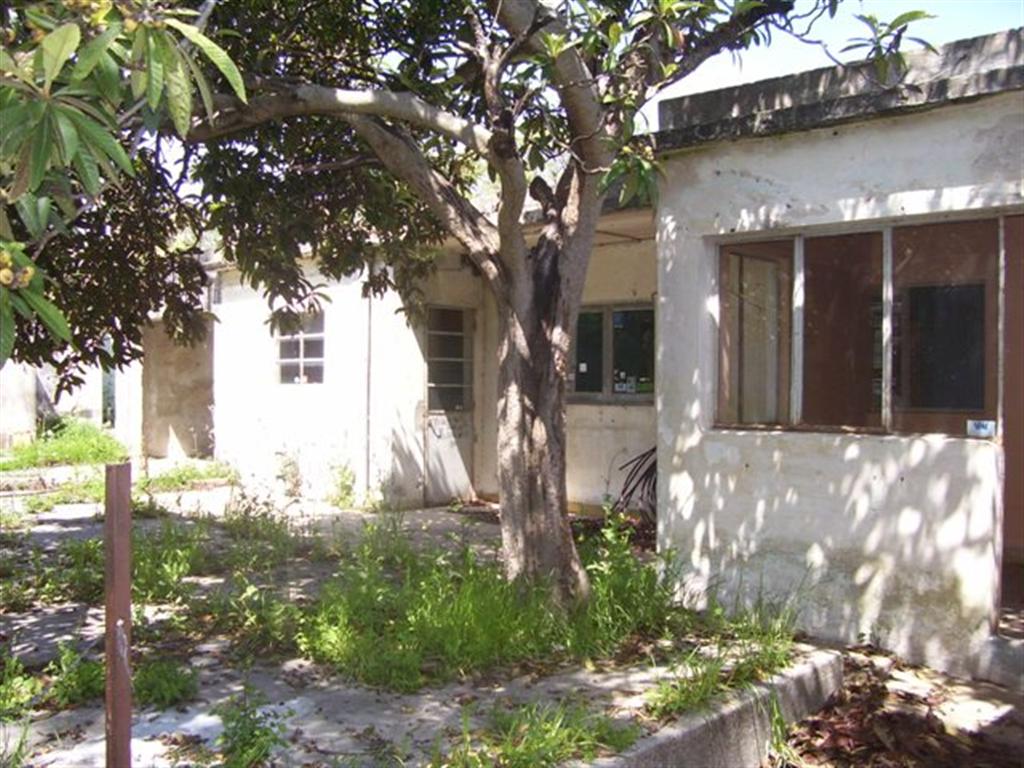 Imagen 4 de Casa con local comercial sobre avenida principal y amplio terreno.