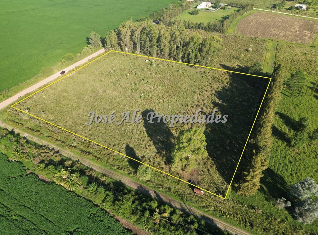 Imagen 2 de EN VENTA Hermosa hectárea, se encuentra ubicada a 200m de la Ruta Nacional nº1, a la altura del Embarcadero de Riachuelo.