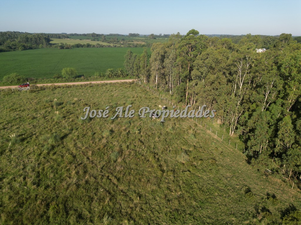 Imagen 7 de EN VENTA Hermosa hectárea, se encuentra ubicada a 200m de la Ruta Nacional nº1, a la altura del Embarcadero de Riachuelo.
