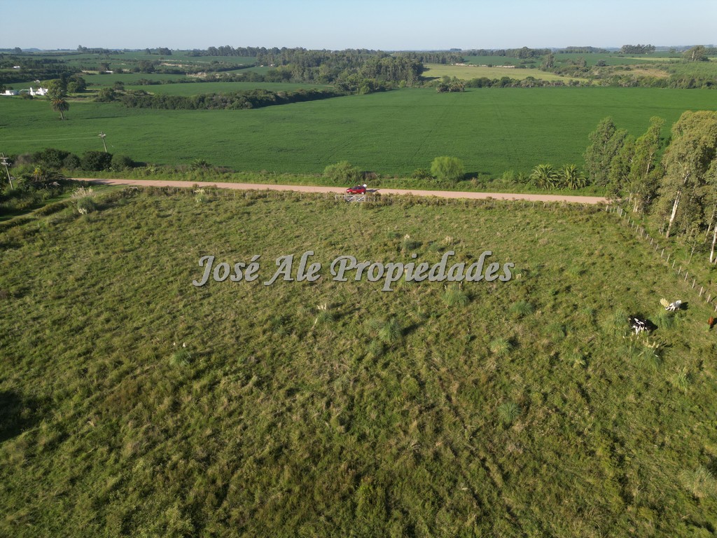 Imagen 8 de EN VENTA Hermosa hectárea, se encuentra ubicada a 200m de la Ruta Nacional nº1, a la altura del Embarcadero de Riachuelo.