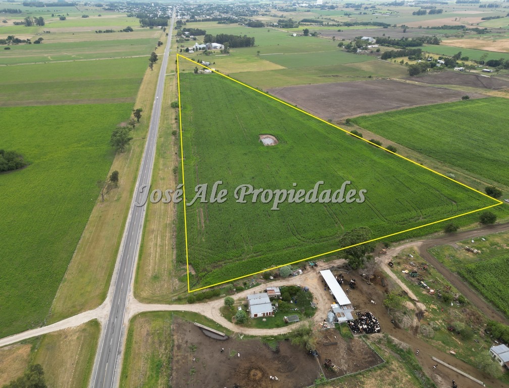 Imagen 1 de Campo de 9 HA ubicado en la ciudad de Tarariras