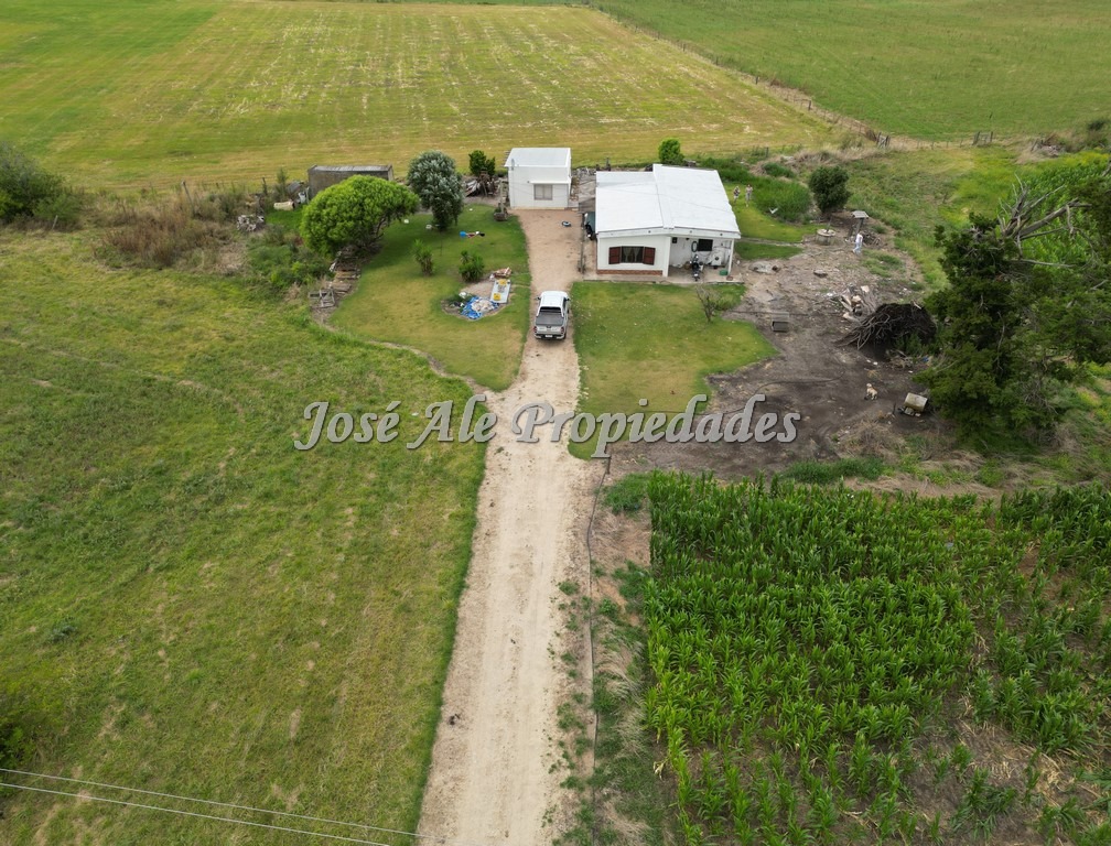 Imagen 3 de Campo de 9 HA ubicado en la ciudad de Tarariras