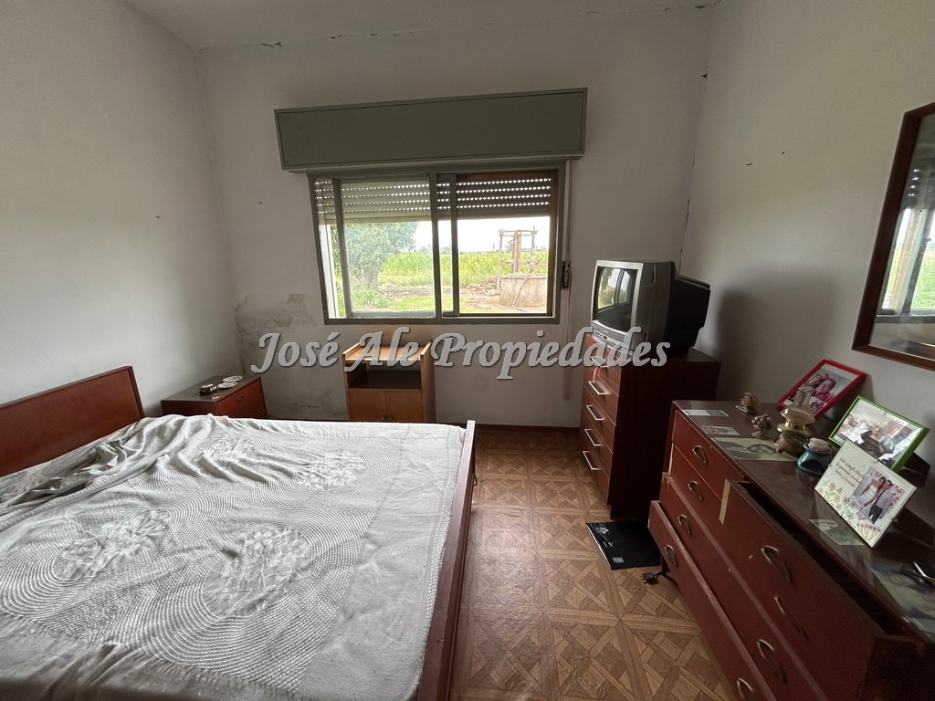 Imagen 9 de Campo de 9 HA ubicado en la ciudad de Tarariras