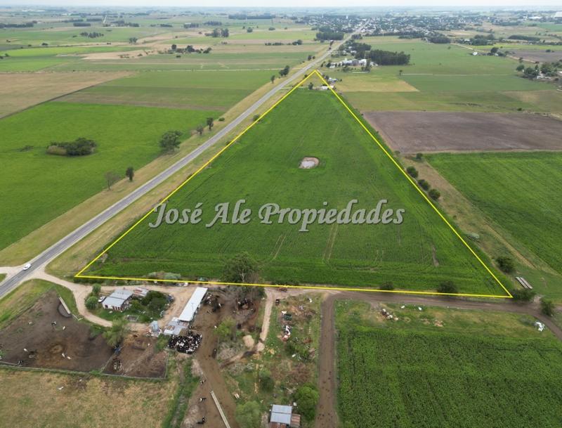 Campo de 9 HA ubicado en la ciudad de Tarariras