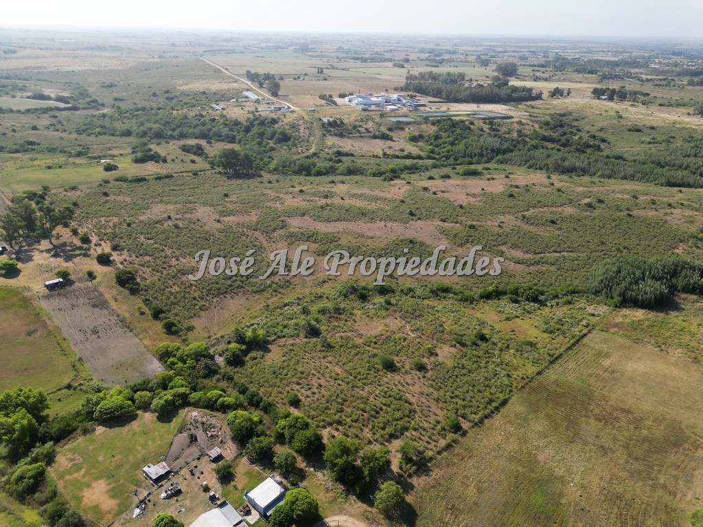 Imagen 5 de Campo de 19 HA ubicado en el km 130 de la Ruta Nacional nº1, Colonia.
