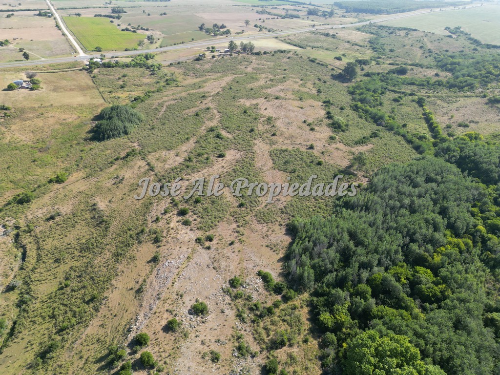 Imagen 7 de Campo de 19 HA ubicado en el km 130 de la Ruta Nacional nº1, Colonia.
