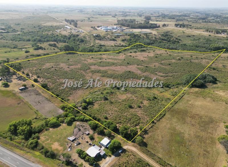 Campo de 19 HA ubicado en el km 130 de la Ruta Nacional nº1, Colonia.