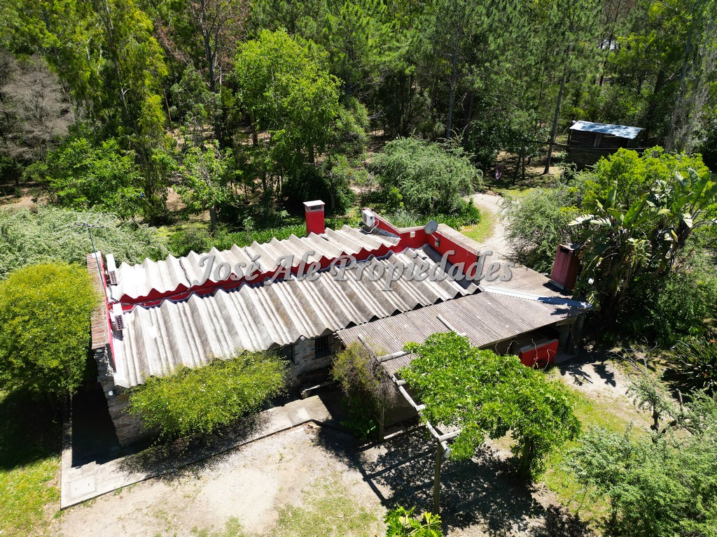 Imagen 2 de Chacra en Laguna de los Patos, a 5 min del centro de Colonia.