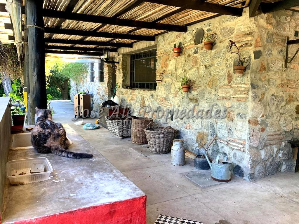 Imagen 7 de Chacra en Laguna de los Patos, a 5 min del centro de Colonia.