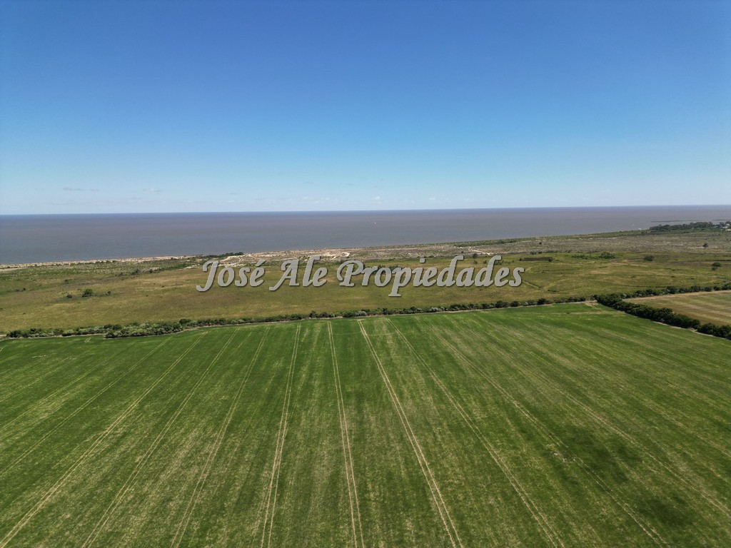 Imagen 7 de Campo de 52 HA super productivo ubicado en Cosmopolita, cerca de Juan Lacaze y a 30 min de Colonia.