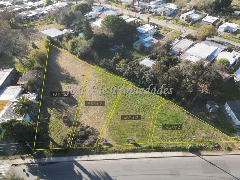 4 lotes sobre calle principal Roger Balet, en Colonia del Sacramento.