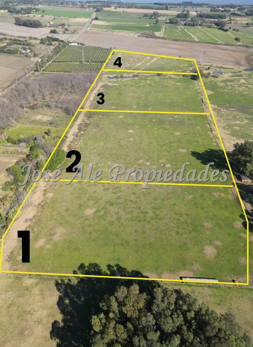 Imagen 1 de 4 Lotes de 3 hectáreas c/u sobre Ruta 21, Colonia.