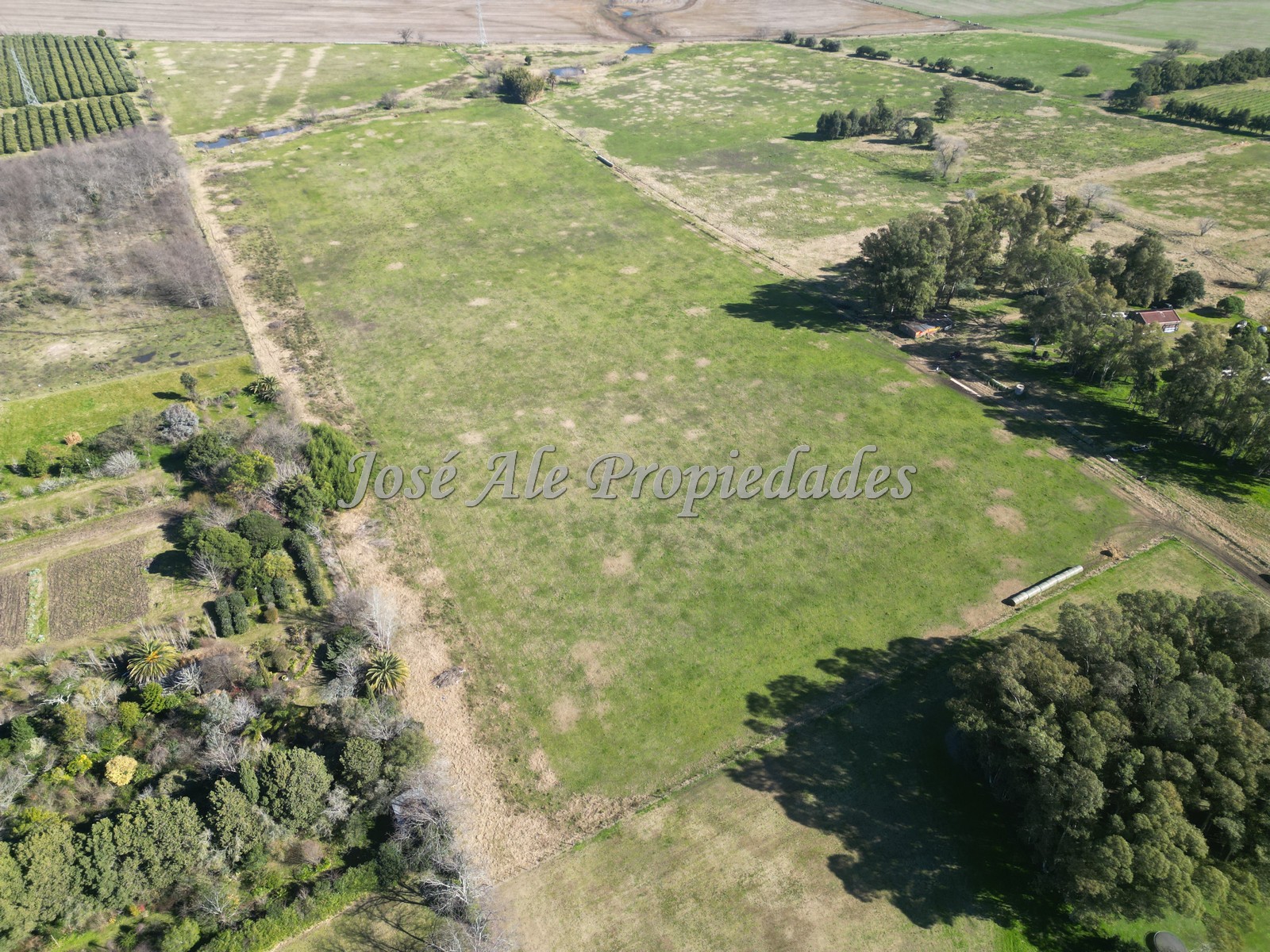 Imagen 4 de 4 Lotes de 3 hectáreas c/u sobre Ruta 21, Colonia.