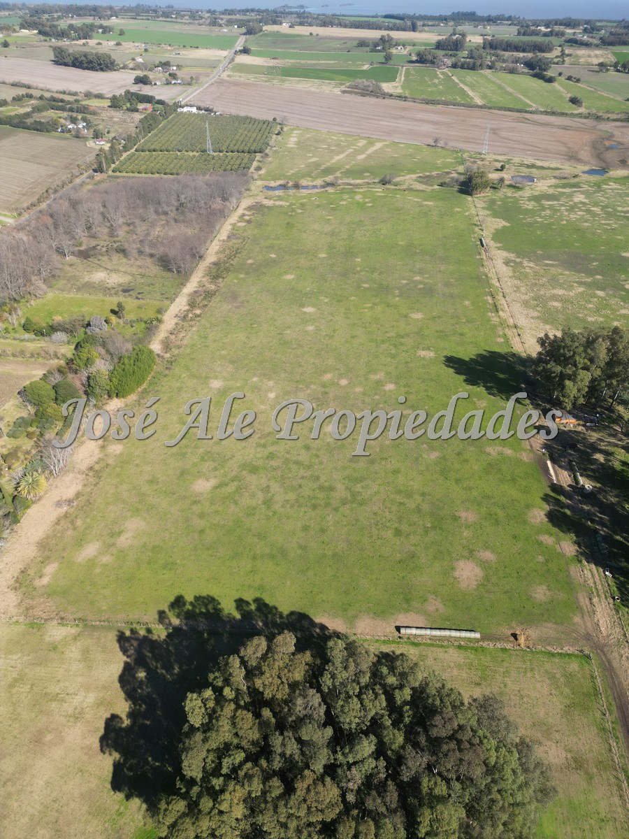 Imagen 7 de 4 Lotes de 3 hectáreas c/u sobre Ruta 21, Colonia.