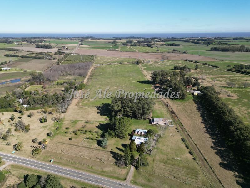 4 Lotes de 3 hectáreas c/u sobre Ruta 21, Colonia.