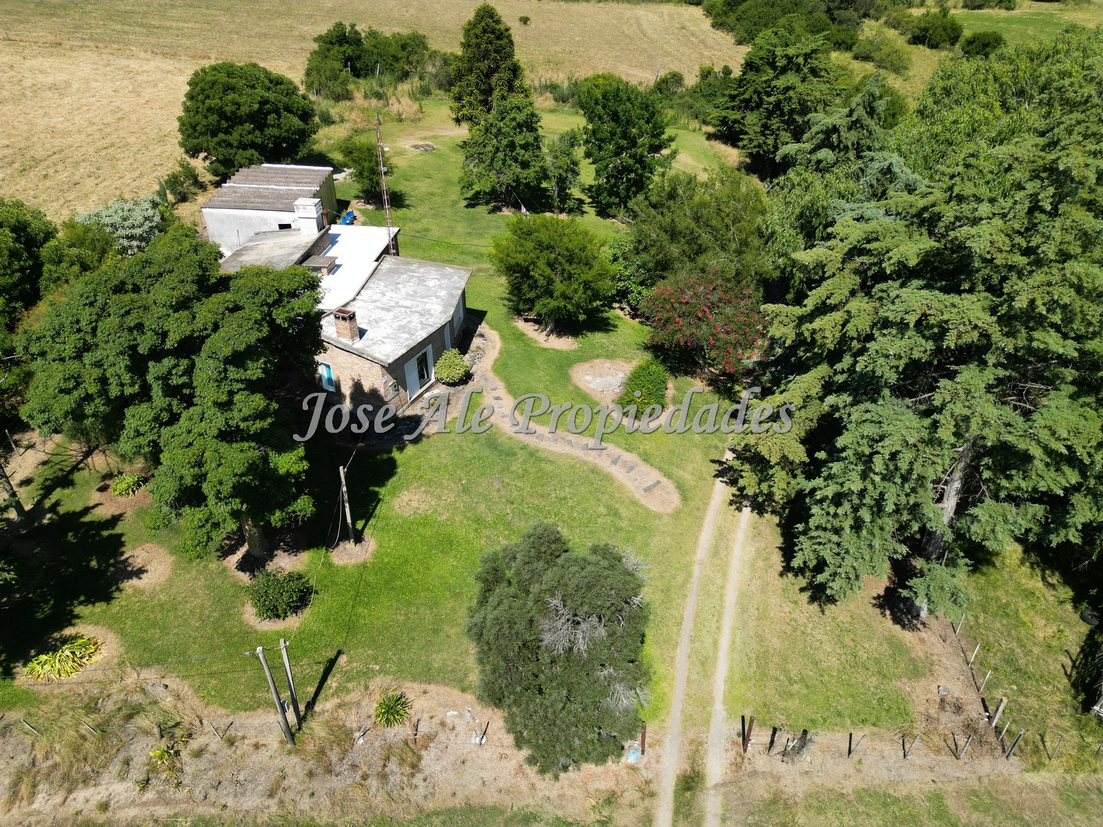 Imagen 10 de Campo de 4HAS y 8.322m, con casa de 3 dormitorios ubicado entre Ruta N°1 y Juan Lacaze, Colonia.