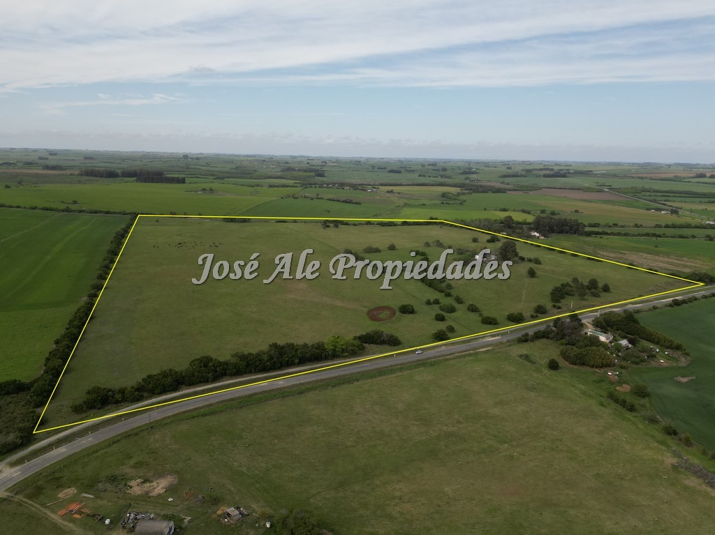 Imagen 1 de NUEVO PRECIO! Campo de 33.5 HA ubicado en Paso Antolín, Colonia.