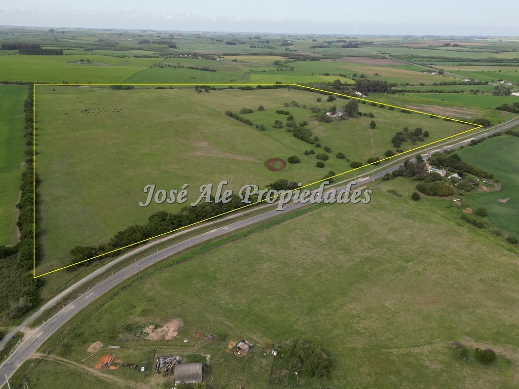 Imagen 3 de NUEVO PRECIO! Campo de 33.5 HA ubicado en Paso Antolín, Colonia.