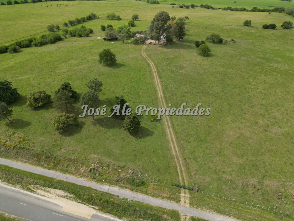 Imagen 4 de NUEVO PRECIO! Campo de 33.5 HA ubicado en Paso Antolín, Colonia.