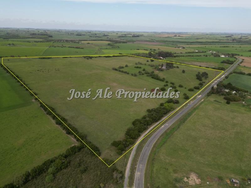 NUEVO PRECIO! Campo de 33.5 HA ubicado en Paso Antolín, Colonia.