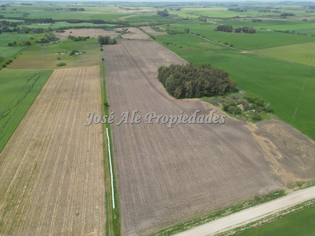 Imagen 3 de Campo agrícola ganadero de 41.5 HA ubicado en Piedra de los Indios.