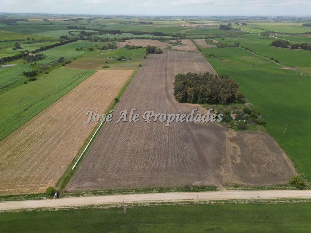 Imagen 5 de Campo agrícola ganadero de 41.5 HA ubicado en Piedra de los Indios.