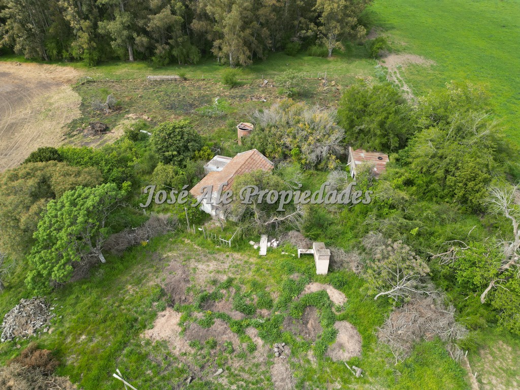 Imagen 6 de Campo agrícola ganadero de 41.5 HA ubicado en Piedra de los Indios.