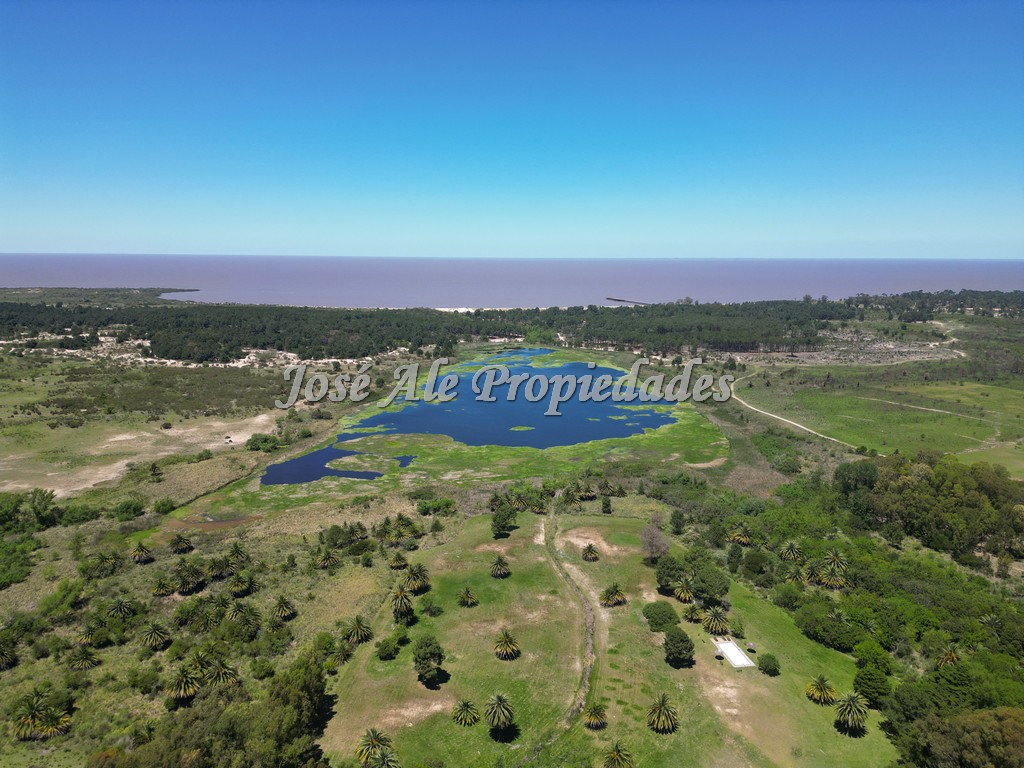 Imagen 8 de Chacra ubicada en Laguna de los Patos, Colonia del Sacramento. a solo 5 km de la ciudad de Colonia del Sacramento.