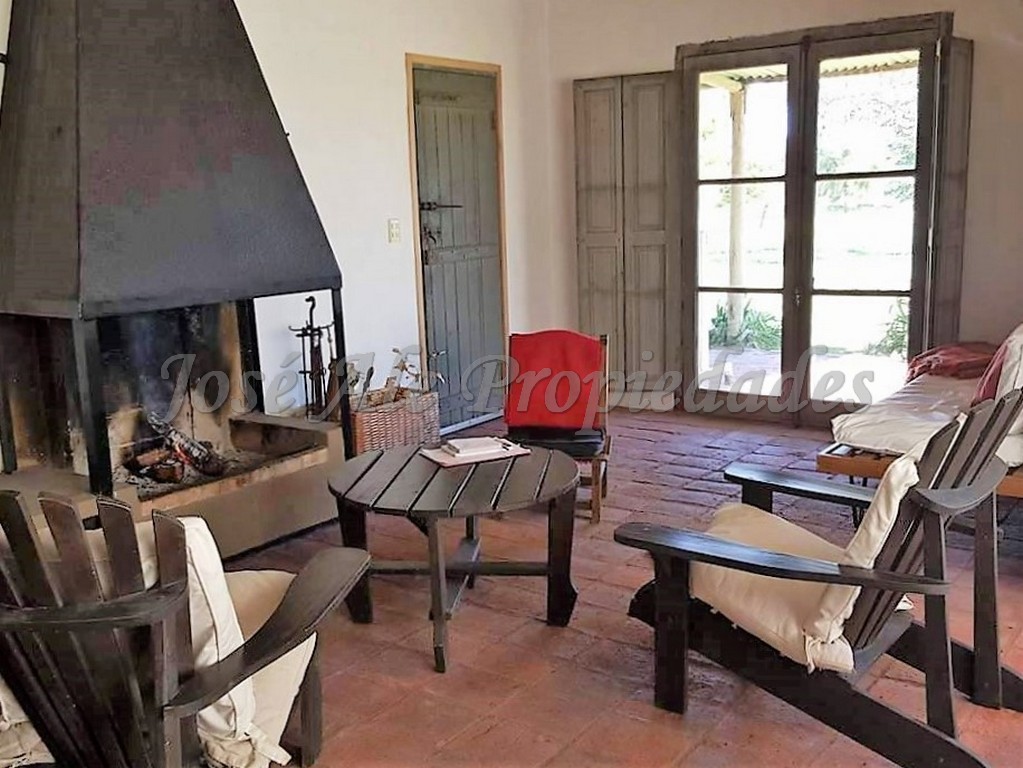 Imagen 8 de Chacra de 1.5 HA ubicada a 400 mts de la Ruta 21 y a 4 km de la ciudad de Colonia del Sacramento.