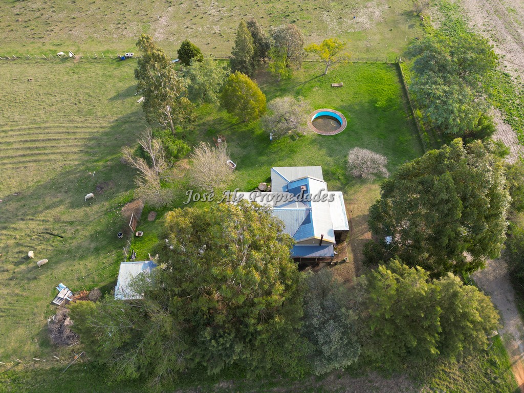 Imagen 9 de Chacra de 1.5 HA ubicada a 400 mts de la Ruta 21 y a 4 km de la ciudad de Colonia del Sacramento.