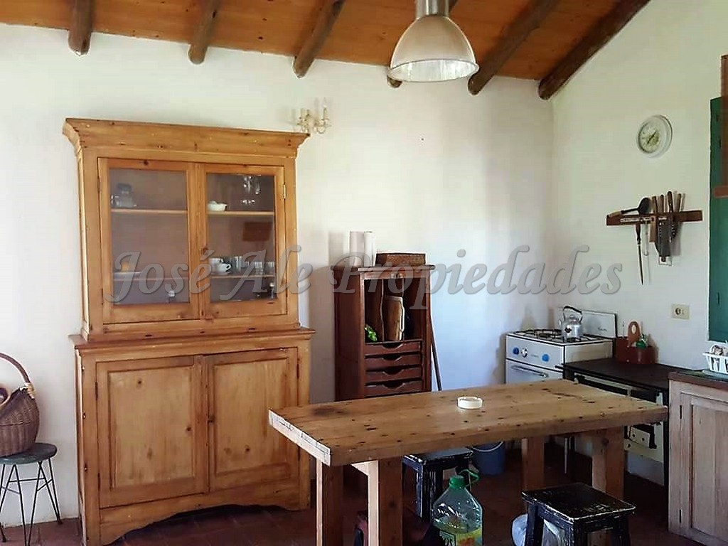 Imagen 5 de EN ALQUILER Chacra de 1.5 HA ubicada a 400 mts de la Ruta 21 y a 4 km de la ciudad de Colonia del Sacramento.