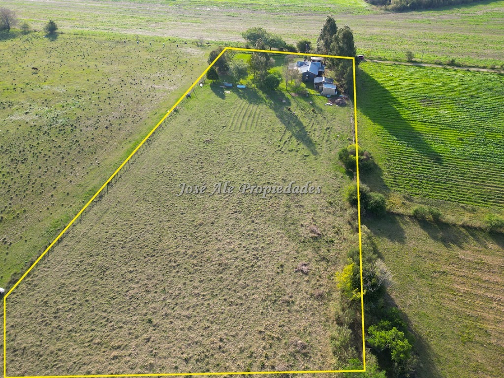 Imagen 8 de EN ALQUILER Chacra de 1.5 HA ubicada a 400 mts de la Ruta 21 y a 4 km de la ciudad de Colonia del Sacramento.