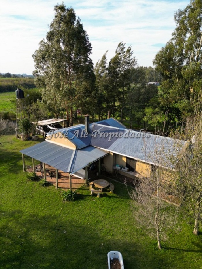 Imagen 9 de EN ALQUILER Chacra de 1.5 HA ubicada a 400 mts de la Ruta 21 y a 4 km de la ciudad de Colonia del Sacramento.