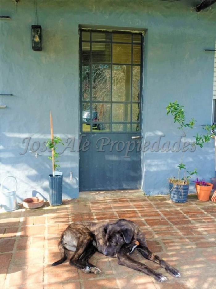 Imagen 2 de Chacra sobre ruta 21 a pocos minutos de la ciudad de colonia y a solo 4 km del nuevo supermercado El Dorado.