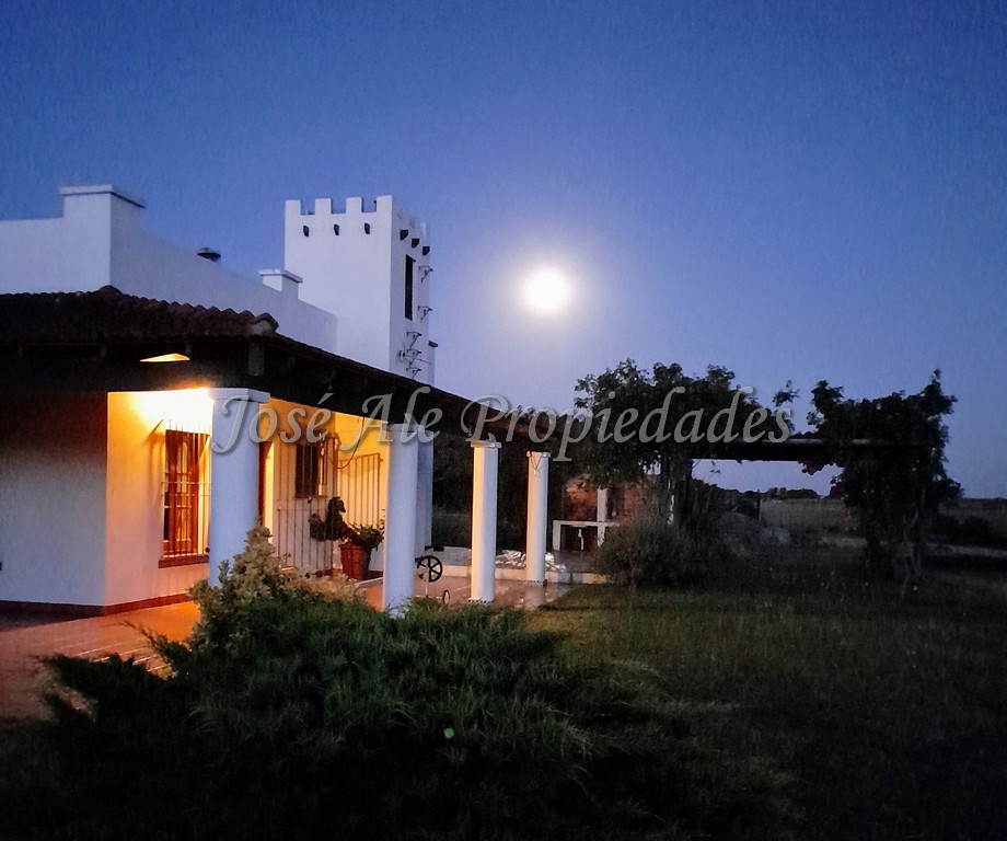 Imagen 7 de Bonita chacra de 9 HA ubicada en Paso Antolín, en inmejorable estado. A tan solo 30 min del centro de la ciudad de Colonia.