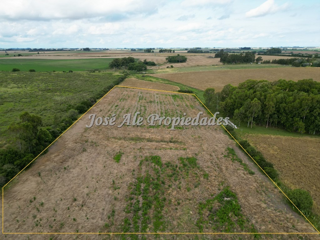 Imagen 4 de Campo de 5 HA ubicado sobre ruta 21, a 10 km del centro de la ciudad de Colonia.