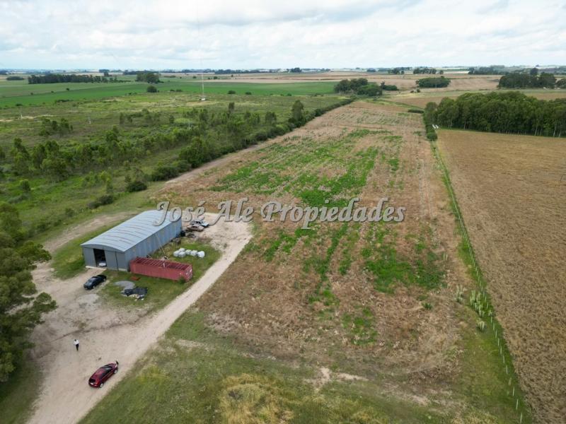 Campo de 5 HA ubicado sobre ruta 21, a 10 km del centro de la ciudad de Colonia.