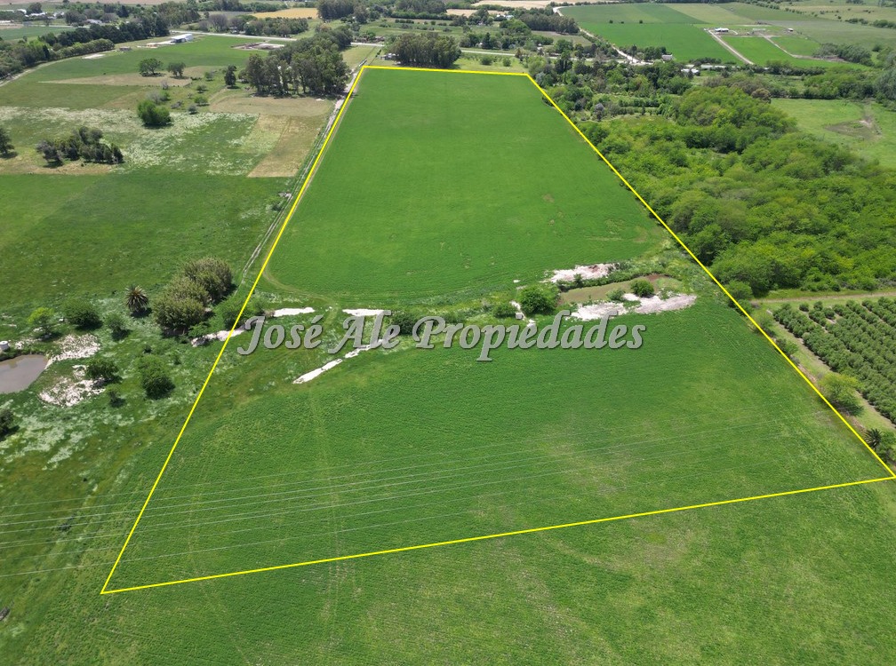 Imagen 1 de Campo Agrícola de 13 Has ubicado sobre Ruta 21 a pocos km del supermercado El Dorado y de Colonia del Sacramento.