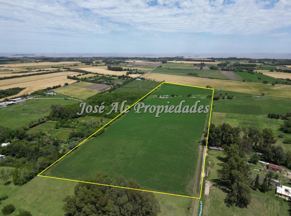 Imagen 2 de Campo Agrícola de 13 Has ubicado sobre Ruta 21 a pocos km del supermercado El Dorado y de Colonia del Sacramento.