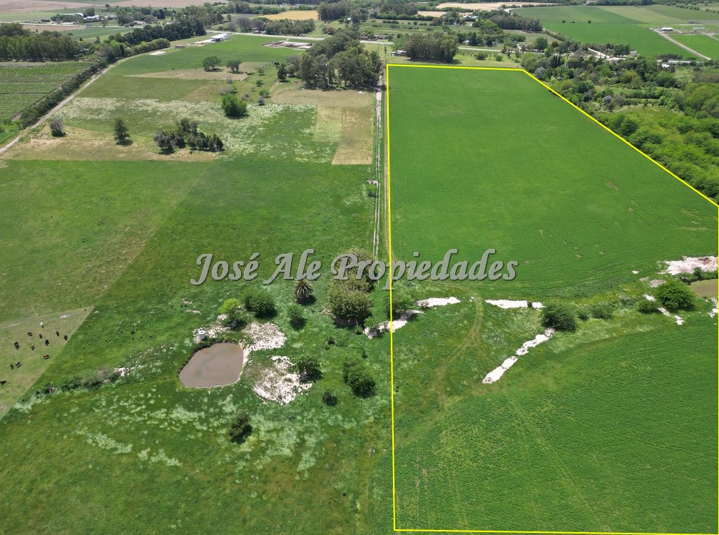 Imagen 4 de Campo Agrícola de 13 Has ubicado sobre Ruta 21 a pocos km del supermercado El Dorado y de Colonia del Sacramento.