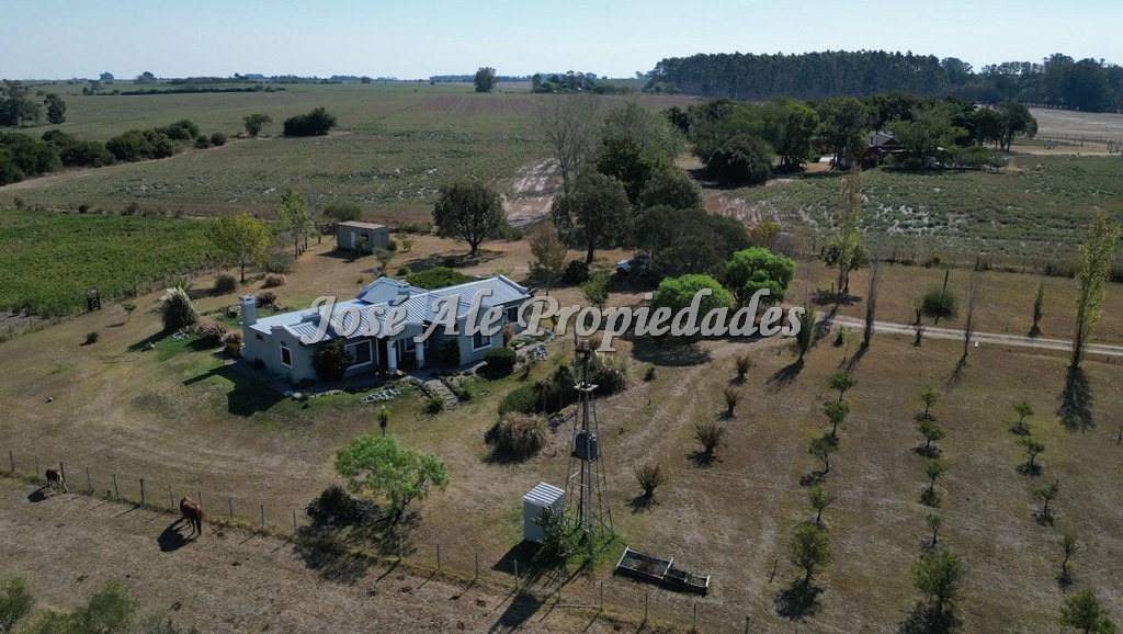 Imagen 10 de Chacra - Campo agrícola en venta de 10 HA de fácil acceso buen camino, a 1,5 km de ruta 50 asfaltada.