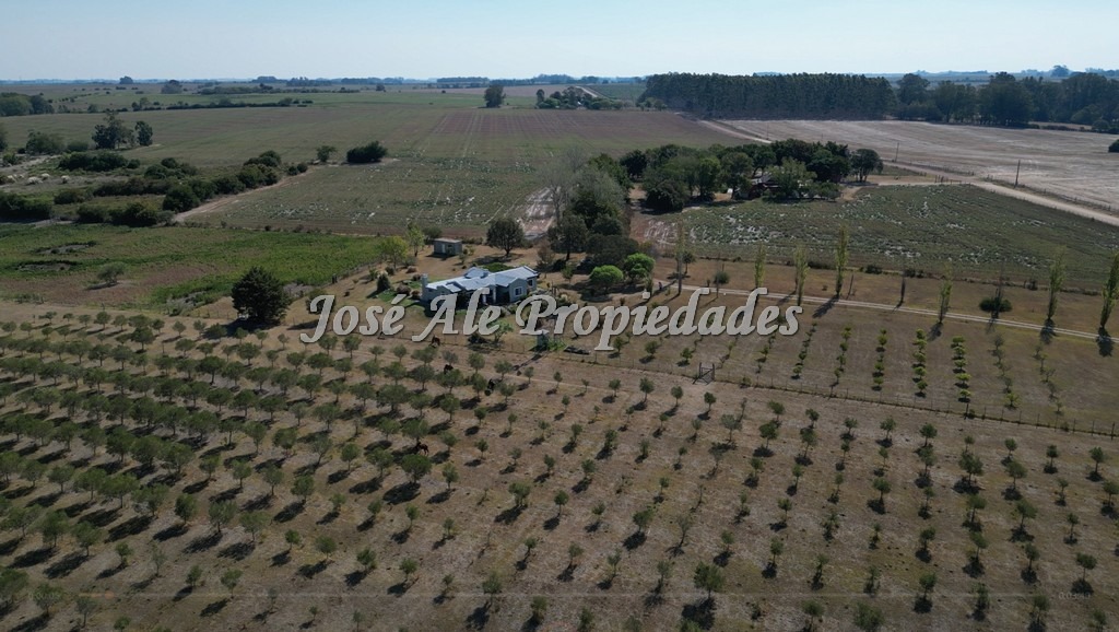 Imagen 2 de Chacra - Campo agrícola en venta de 10 HA de fácil acceso buen camino, a 1,5 km de ruta 50 asfaltada.
