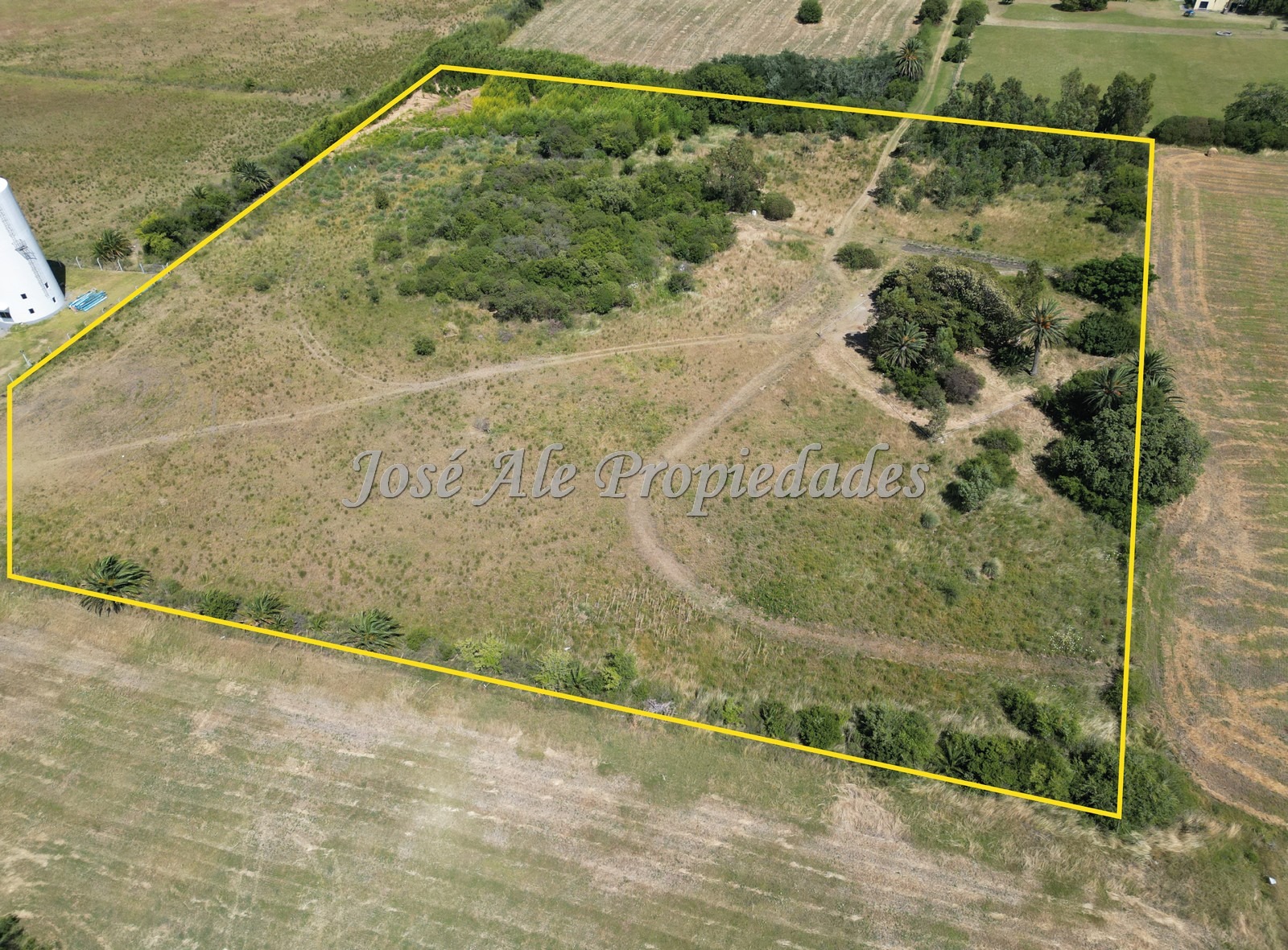 Imagen 2 de Lote de 3HA ubicado en la continuación del Barrio los Algodones, a la altura de la Bodega Bernardi por Ruta 1 en Colonia del Sacramento.