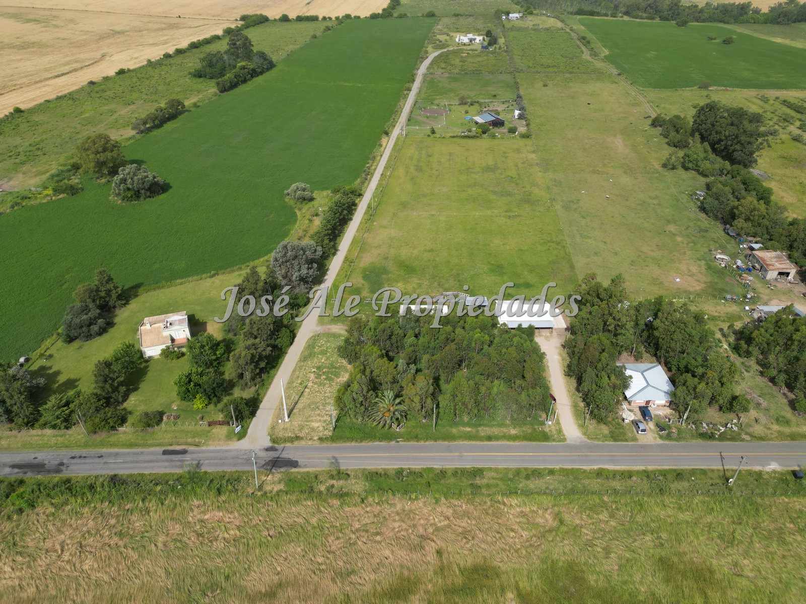 Imagen 2 de Chacra de 14.700 m² con 2 casas, ubicada sobre Camino del Medio, una de las zonas más cotizadas de Colonia del Sacramento.