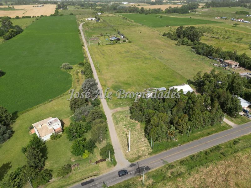 Chacra de 14.700 m² con 2 casas, ubicada sobre Camino del Medio, una de las zonas más cotizadas de Colonia del Sacramento.