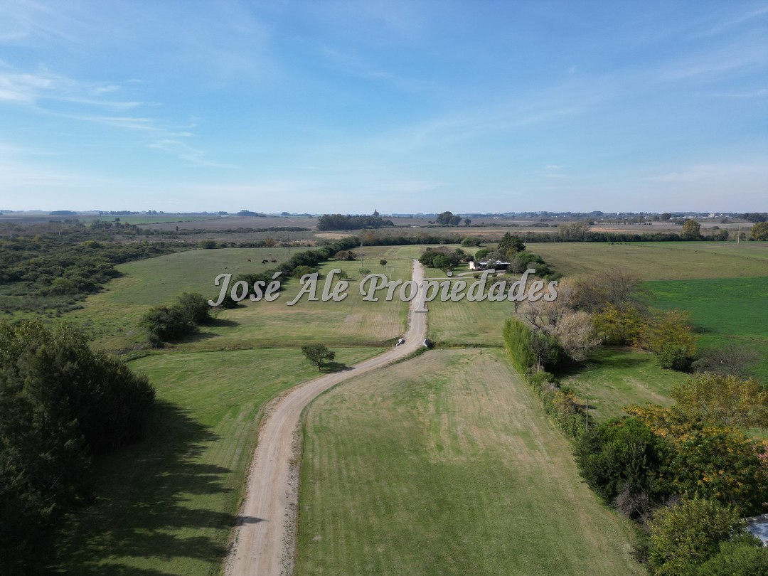 Imagen 4 de Chacras de 1 ha, ubicado por ruta 21. Se encuentra próximo a los servicios.